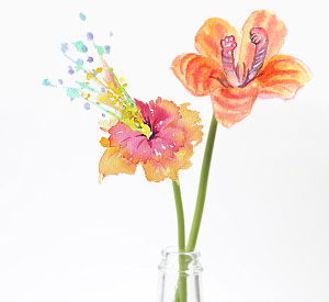 空き瓶に生けた２本のMINSOU花イメージ